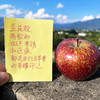 『大凉山丑苹果』半野生种植，带果锈、外貌丑，香脆可口，果香浓郁 商品缩略图12