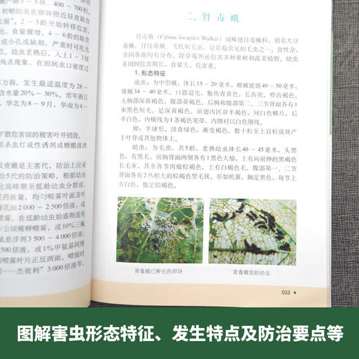 草莓病虫害识别与防治彩色图说 【官方正版，可开发票，下单时留开票信息和电子邮箱】 商品图4
