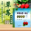 草莓水肥一体化技术图解【官方正版，可开发票，下单时留开票信息和电子邮箱】 商品缩略图0