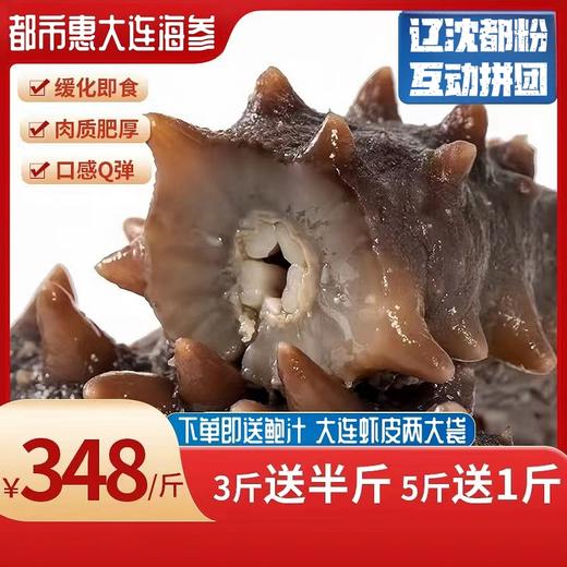 入选复购冠军榜单【6年足龄大个头】大连鲜食海参都市惠定制：长山列岛6年足龄种参 商品图3