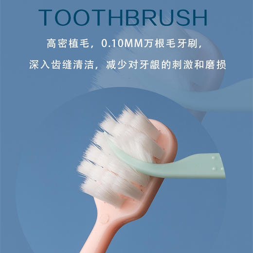 麦尔焉 超细万丝毛软毛牙刷 成人家用家庭装 高档护龈【8支/盒】 商品图3