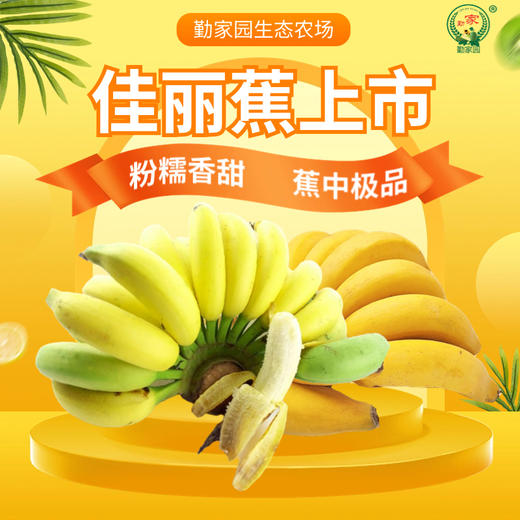 南沙佳丽香蕉无公害无催熟4斤装 商品图0