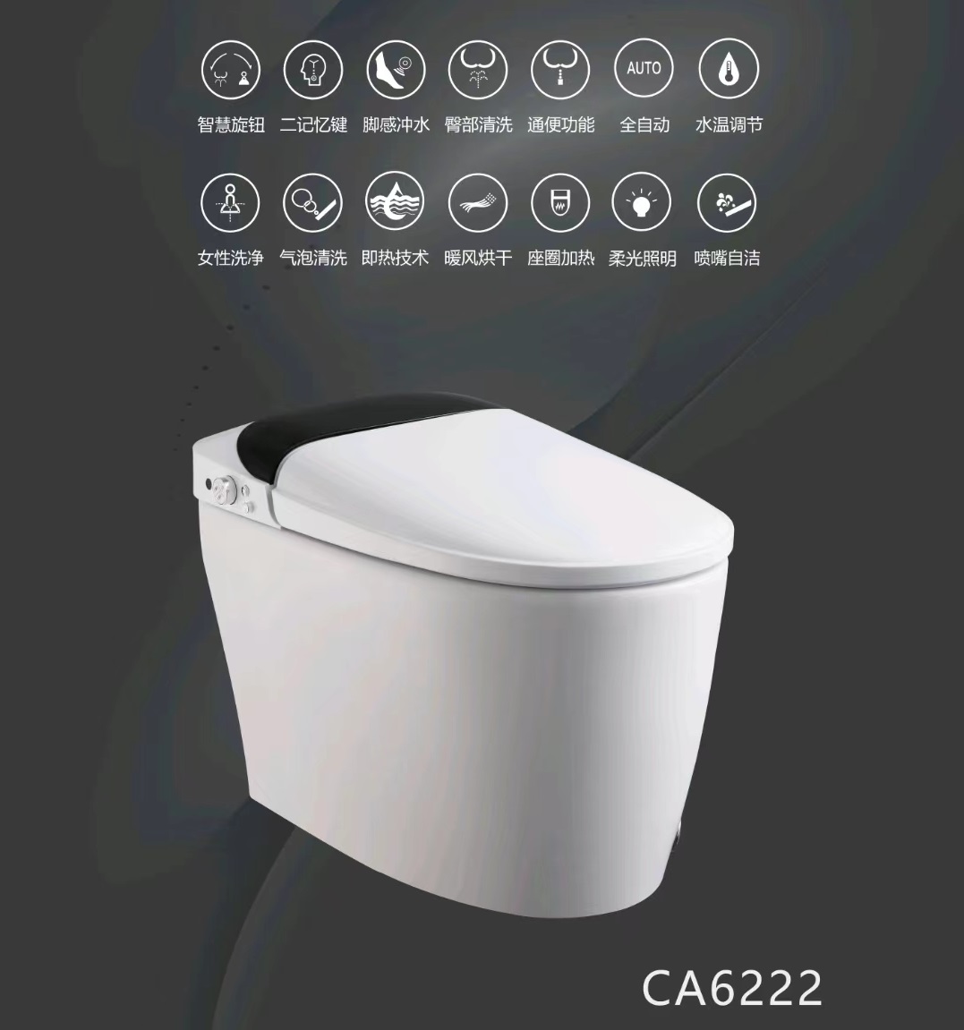 大信智能马桶CA6222