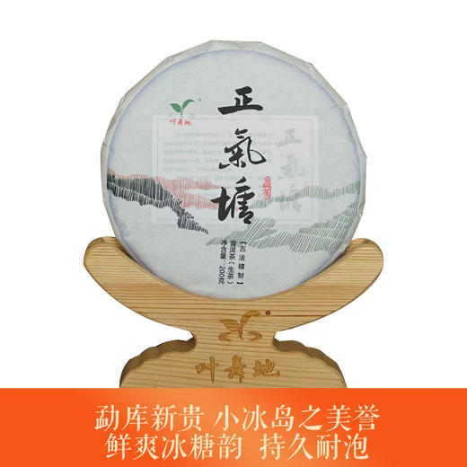 生普 |叶舞地 2022年 正气塘古树春茶 200G 商品图0