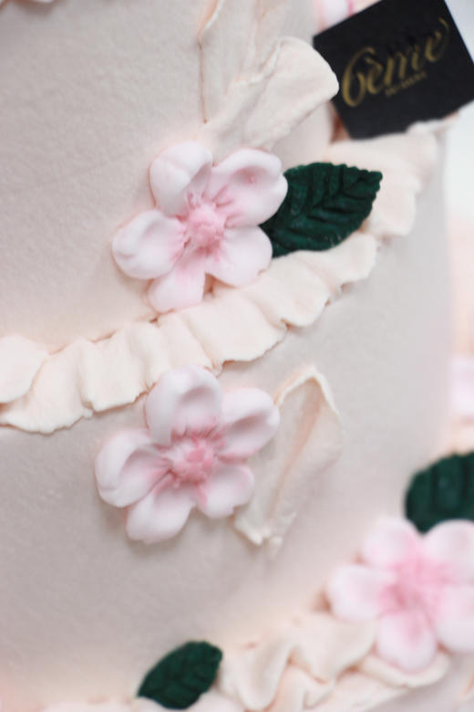 【寿桃】 商品图5