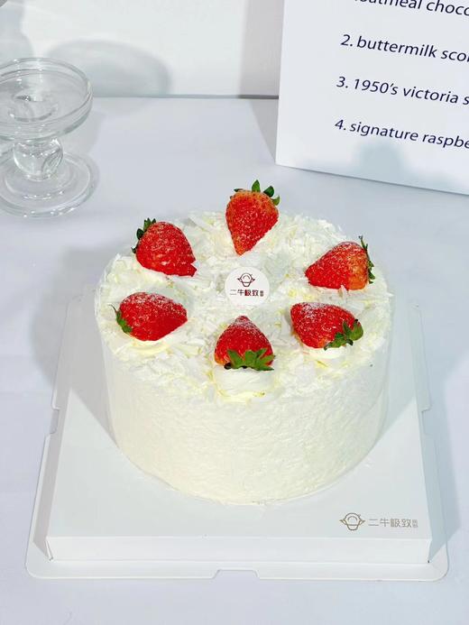 红颜白森林 商品图0