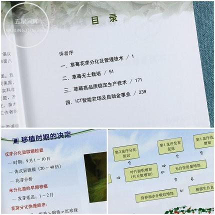 高品质草莓生产技术集锦 【官方正版，可开发票，下单时留开票信息和电子邮箱】 商品图2