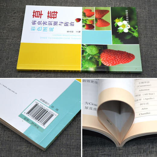 草莓病虫害识别与防治彩色图说 【官方正版，可开发票，下单时留开票信息和电子邮箱】 商品图2
