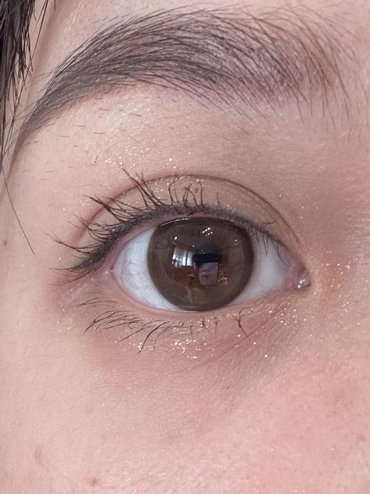 Toffee日抛--奶油森林（棕绿） 商品图3