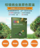 柑橘病虫害原色图鉴【中国农业出版社官方正版】  蔡明段主编 柑橘种植必备 柑橘实用 商品缩略图2