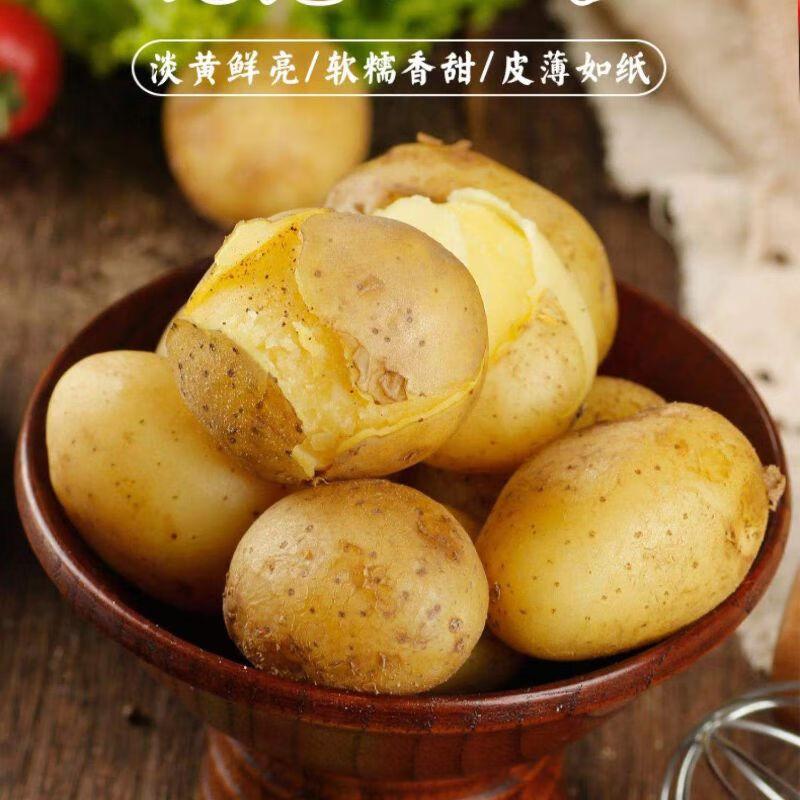 有机小土豆 500g/盒