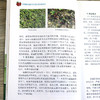 草莓病虫害识别与防治彩色图说 【官方正版，可开发票，下单时留开票信息和电子邮箱】 商品缩略图9