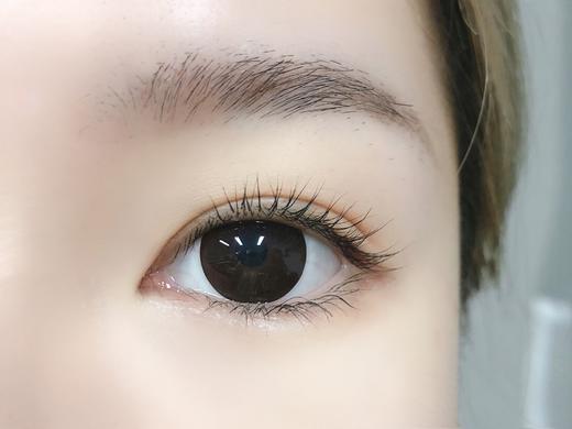 Toffee日抛--巧可喵 商品图8