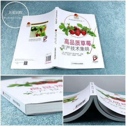高品质草莓生产技术集锦 【官方正版，可开发票，下单时留开票信息和电子邮箱】 商品图1