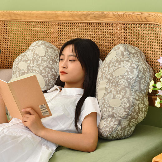 佩斯利猫爪靠枕双色荞麦壳助睡眠中空纤维棉床头靠 商品图3