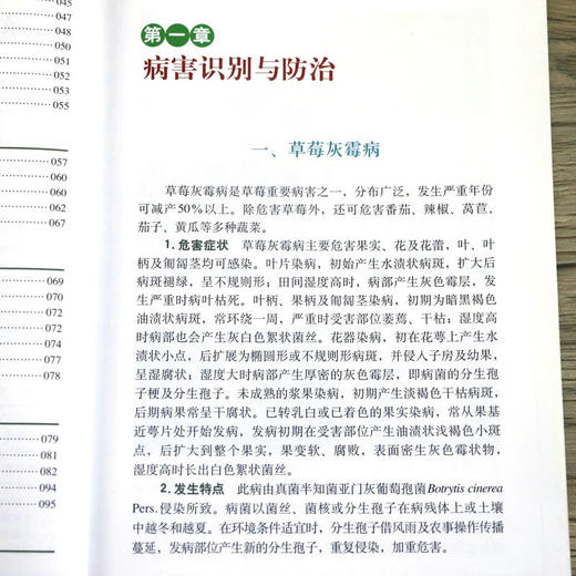 草莓病虫害识别与防治彩色图说 【官方正版，可开发票，下单时留开票信息和电子邮箱】 商品图5