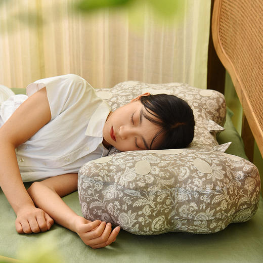 佩斯利猫爪靠枕双色荞麦壳助睡眠中空纤维棉床头靠 商品图0