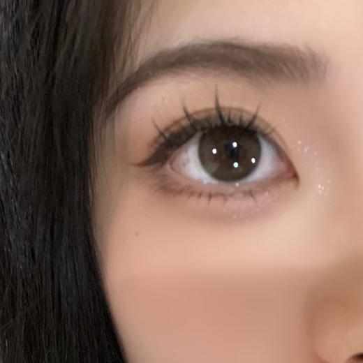 Toffee日抛--奶油森林（棕绿） 商品图6