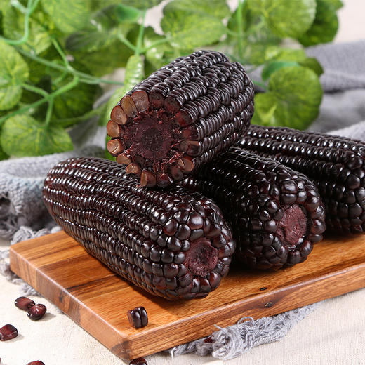 【小农仙】富硒黑玉米 非转基因 230g*6支礼盒 商品图2