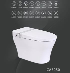 大信智能马桶CA6250