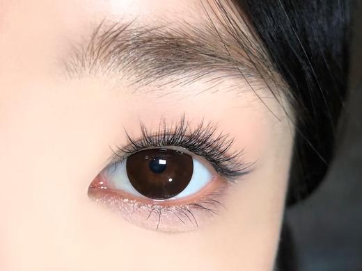 Toffee日抛--巧可喵 商品图4