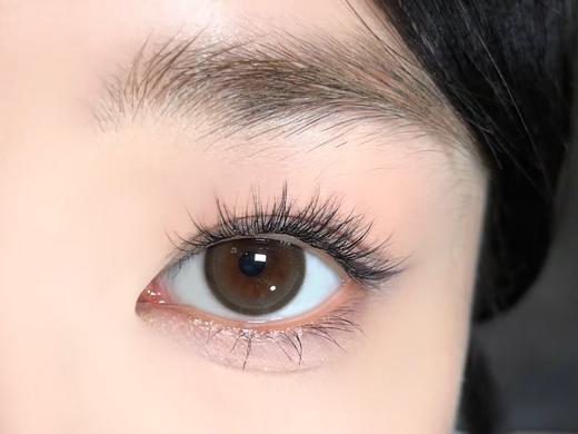 Toffee日抛--奶油森林（棕绿） 商品图4