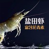 预售 预计12月15日发货「自营」盐田虾 百年盐池生长 高虾青素 商品缩略图0