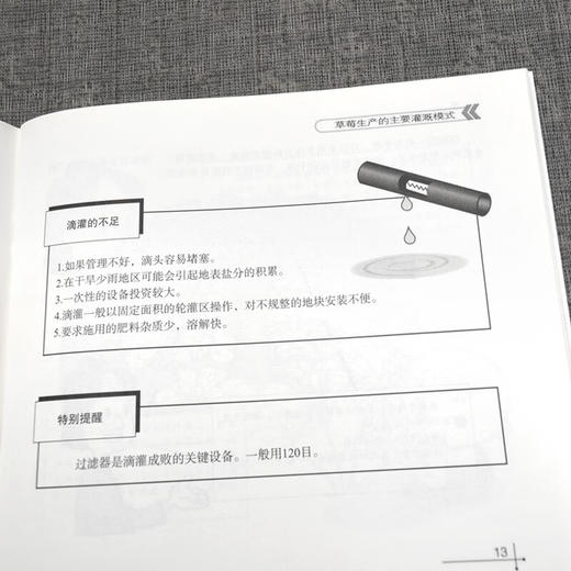 草莓水肥一体化技术图解【官方正版，可开发票，下单时留开票信息和电子邮箱】 商品图3