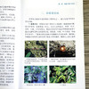 草莓病虫害识别与防治彩色图说 【官方正版，可开发票，下单时留开票信息和电子邮箱】 商品缩略图8