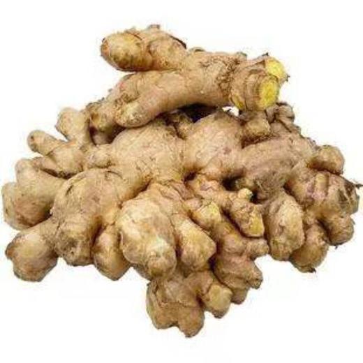 有机小黄姜 200g/盒 商品图0