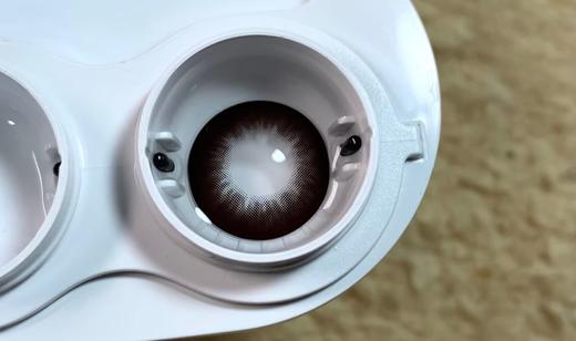 Toffee日抛--巧可喵 商品图3