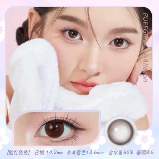 Puffgirl 脸红兔兔 14.2mm【日抛|10片/盒】 商品图0