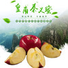 秦义蜜  今年新果 全发酵腐熟羊粪种植  绿色有机水果 果园直供 商品缩略图0