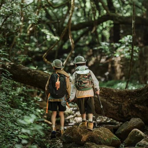 寒假亲子 | 何以版纳自然探索营 5天4晚 商品图4