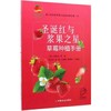 圣诞红与浆果之星草莓种植手册 【官方正版，可开发票，下单时留开票信息和电子邮箱】 商品缩略图0