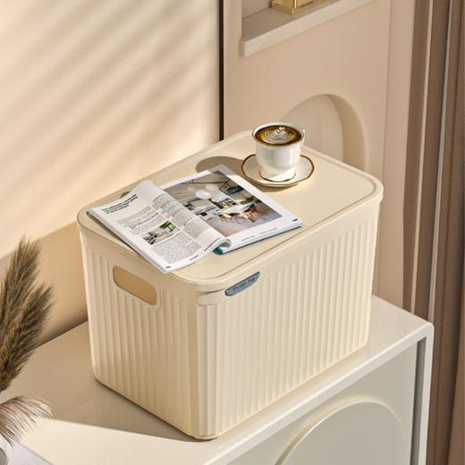 收纳箱子床底露营化妆品衣服收纳盒衣物玩具塑料家用被子收纳筐 商品图2