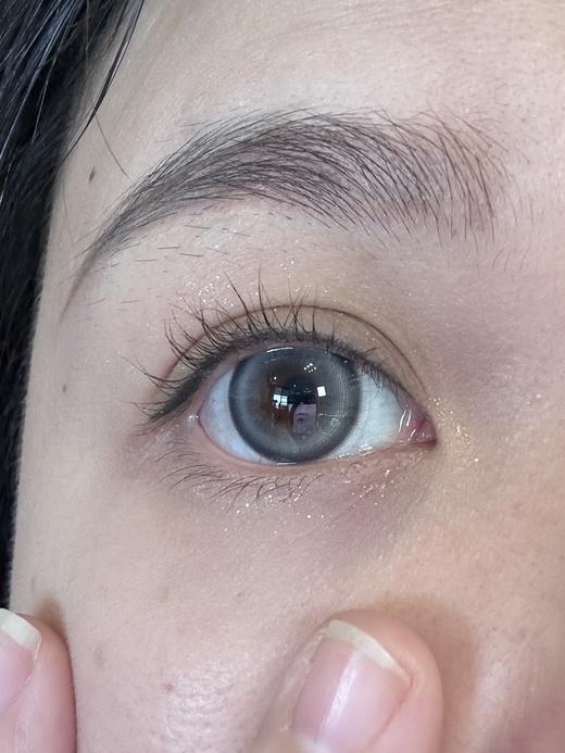 Toffee日抛--海豚湾湾 商品图1