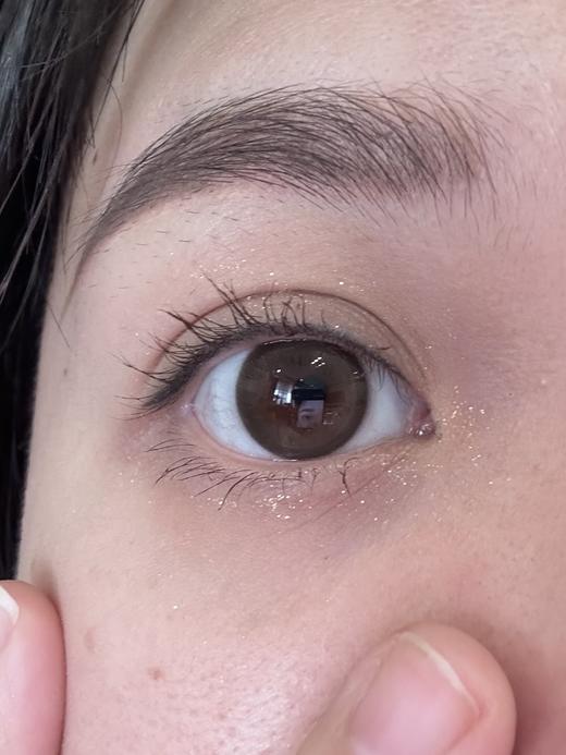 Toffee日抛--奶油森林（棕绿） 商品图2