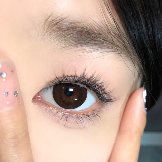 Toffee日抛--巧可喵 商品图5