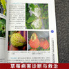 草莓疑难杂症图片对照诊断与处方第二版 【官方正版，可开发票，下单时留开票信息和电子邮箱】 商品缩略图3