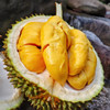 【上海直发包邮06】马来西亚猫山王榴莲（冷冻果） 商品缩略图0