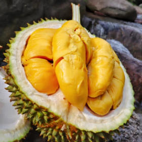 【上海直发包邮06】马来西亚猫山王榴莲（冷冻果）