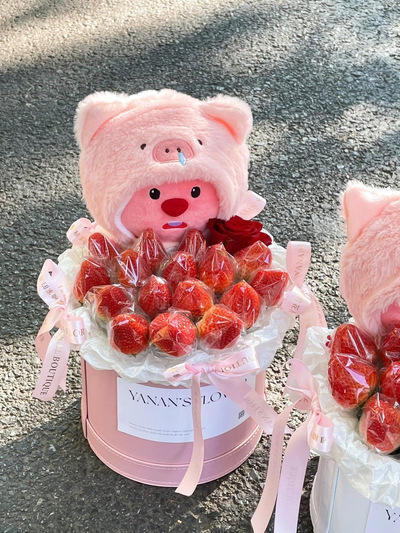 【琳琅】爆款玩偶露比小海狸全链接 商品图2