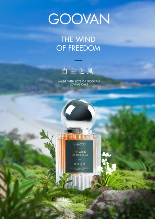 自由之风香薰/30ml 商品图0