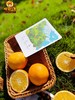 橙园几里-赣南脐橙礼盒装 8.5斤左右 商品缩略图0