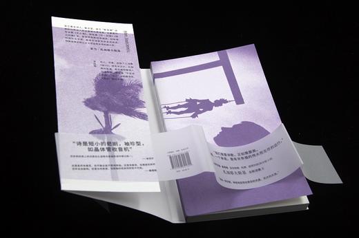 永恒的敌人（波兰）亚当·扎加耶夫斯基 著 商品图3