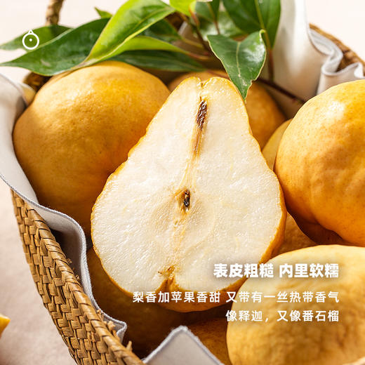 企鹅市集|山东威海丑梨太婆梨 5斤装（大果6-9枚） 甜蜜软糯 苹果香蕉番石榴香气 商品图1