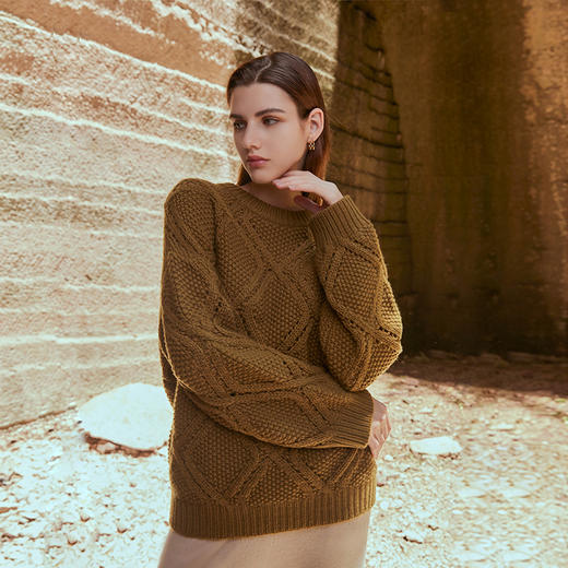 【粗棒针加厚羊绒衫】羊绒世家秋冬新品女士100%山羊绒经典立体绞花保暖毛衣 商品图1