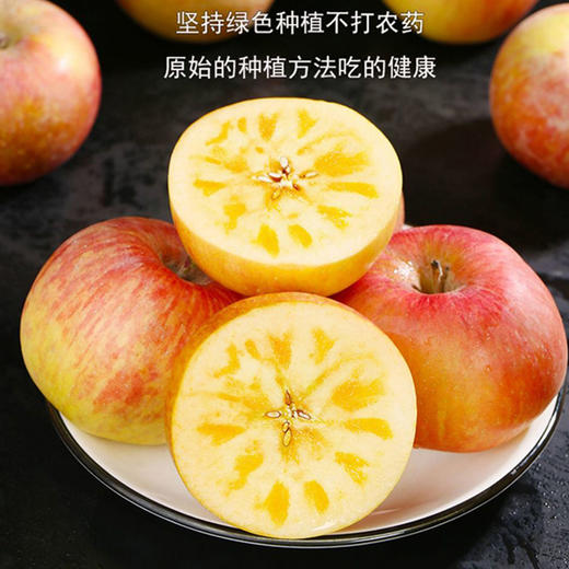 新疆冰糖心苹果8.5斤（中果80-85#） 商品图3
