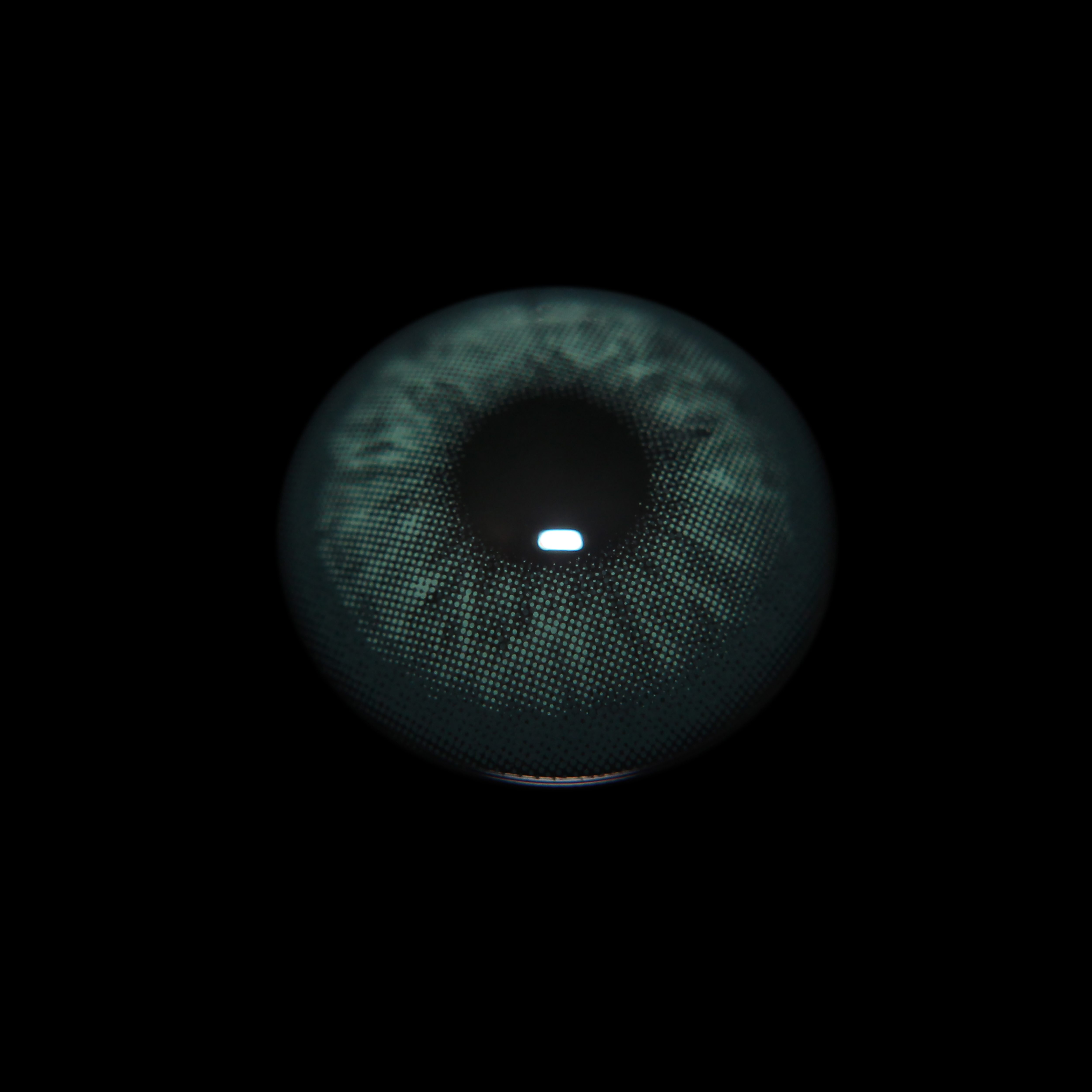 ISLANDCON 深林秘境14.2mm 年抛隐形眼镜 1副/2片 左右度数可不同 - VVCON美瞳网